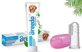 Breedo Dog & Cat Cool Mint Toothpaste + Pet Finger Teethbrush Combo for Dogs - 100g | Pet Toothbrush
