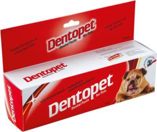 All4pets DP96325 Pet Toothpaste