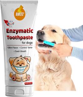 BOLTZ Enzymatic Toothpaste for Dogs 100gm with Mint Flavor Pet Toothpaste