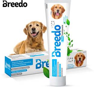 Breedo Cool Mint Toothpaste for Dogs - 100g |Soothing Mix of Mint and Cinnamon Oil Pet Toothpaste