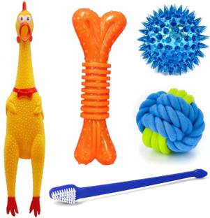 PETZLUV YOUHAVEDEAL Dog Toys Combo – 5 Interactive Toys for Chewing for Puppies Chewers Rubber Bone, Squeaky Toy, Bone, Fetch Toy, Training Aid, Chew Toy For Dog
