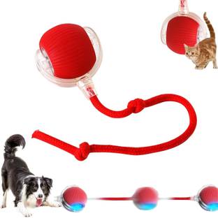 Bwogue 360° Interactive Dog, Cat Toys Ball, Electric Rolling Ball Automatic Moving Ball Silicone, Plastic Ball For Dog & Cat