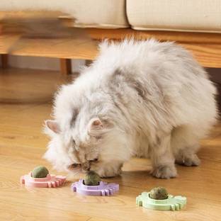 Welfare CAT MINTTOY BALL Wooden Ball For Cat