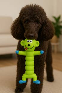 PetZilla IMPORTED NON-TOXIC PET TOY Rubber Squeaky Toy For Dog