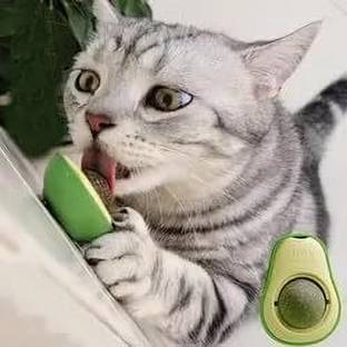YMS Cat Toy Organic Avocado Cat Toy Cat Nip Silver vine Mint Cat Lickable Treat Cat Plastic, PP (Polypropylene) Soft Toy, Training Aid For Cat