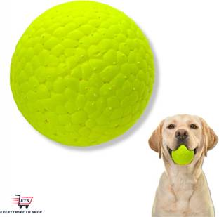 ETS Rubber Ball For Dog