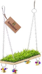 GREENBIRDS TOYS Birds Grass Swing Bird Toy Parrots, Budgies, Cockatiel, Love Birds, Hamster Wooden Chew Toy, Training Aid, Perch For Bird