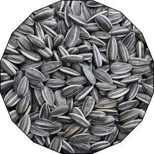 Birddy Seeds Sunflower Seed for Bird, Sunflower for All Birds Food Vegetable Bird Treat