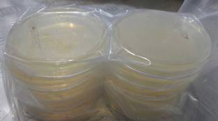 MAAT BIOTECH Polystyrene Disposable Petri Dish