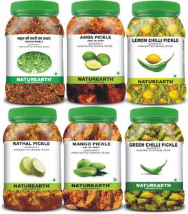 NaturEarth 100% Natural Babul,Amda,Lemon-Chilli,Kathal,Mango,Ginger Pickle Mixed Pickle