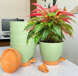 मिथर्क 5PCs [6"/6.7" in] Self Watering Flower Pots Indoor Outdoor Drainage Hole Saucer प्लांट कंटेनर सेट