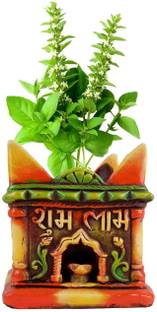 Zeemokad Long Lasting Marbale Look Fiber White Tulsi/Planter Pot Big Size 11x10 I Plant Container Set