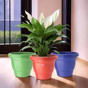 Heart Home (Pack of 3) 2-Layer Flower Pot for Home Décor (6 Inch) Red-Green & Blue Plant Container Set