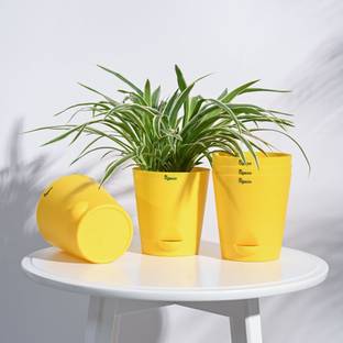 UGAOO Krish Yellow Self Watering Planter -4 Inch Set of 5 Plant Container Set