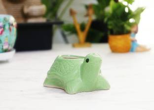 Leafy Tales Leafy Tales Turtle shape Green Ceramic Planter Plant Container Set