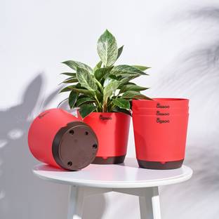UGAOO Krish Red Self Watering Planter - 7.5 Inch, Round, Set of 5 Plant Container Set