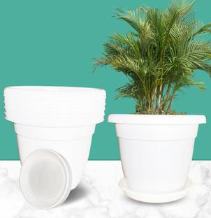 SNSHOPEE (Pack of 6 with Bottom Plate) Premium 10" dia. White Plant Container Set
