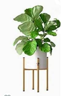 SIRAAJ&SONS Metal Modern Planters With Stand, Standard, (Color Gold, White) Plant Container Set