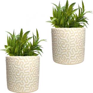 Gupta Homes White RD-1 Pipe Ceramic Pot Size 4x4inch GH0022-10 Plant Container Set