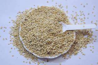 AGRITECH Eggplant seed/Turkey berry seed/Solanum seed can be Used for Grafting brinjal Seed