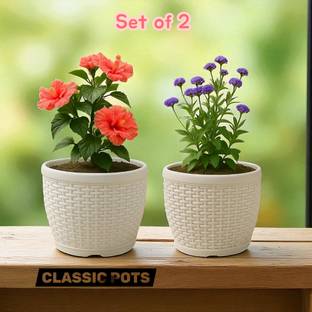TradeforgeGHZ MATT CLASSIC 8-INCH Plant Container Set