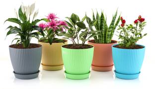 Puchku Round Flower Pots Outdoor | Indoor Planters With Tray| Plant Container Set