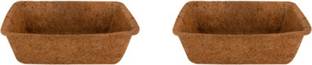 Spranila Coconut Coir Seedling Tray - Premium (2 Tray) Microgreen Growing Trays Plant Container Set