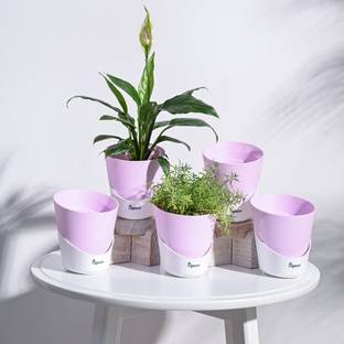 UGAOO Atlantis Self Watering Planter - 4 Inch Plant Container Set