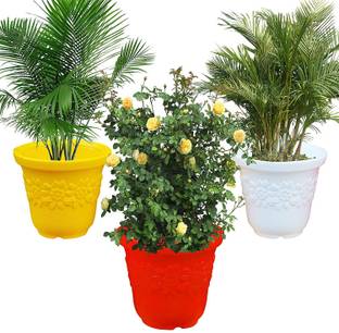 The Ubals Designer Plastic Planter - Sunny Flower Pot Plant Container Set