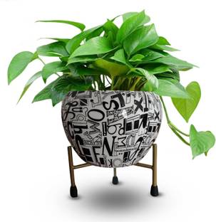 Cinagro MetalFlowerPlanterPot-LetterLoopStylePotsforPlants,HomeDecoration Plant Container Set