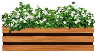 Vyani Brio Wooden Planter Box Rack, Wooden Texture, 22 x 6.5 x 6.5 in, 1 Unit Plant Container Set