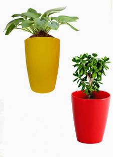 Muddstyles Plastic Multicolor Tower Pot 14 inch Flower Pots for Home office Garden Balcony Plant Container Set