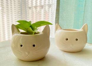 BOHOHAVEN Plant Container Set