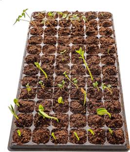 SIDDHI Reusable 40 Holes Seedling Tray (Set of 5) Plant Container Set