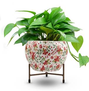 Cinagro MetalFlowerPlanterPot-FloralMuralStylePotsforPlants,HomeDecoration Plant Container Set