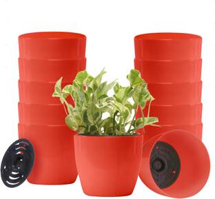 DOAP Plant Container Set