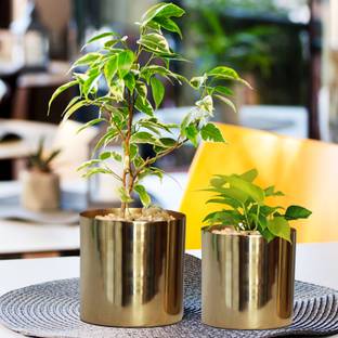 ecofynd Grace Metal Plant Pots (5 inch, 6 inch) Decorative Indoor Planters Flower Pots Plant Container Set