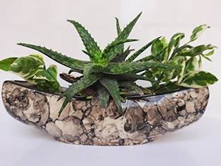 VisionCrafterz Plant Container Set