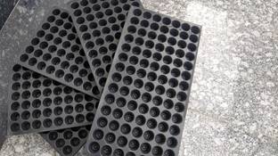 HBC Seedling Nursery pro Tray for Seedling Germination with of 10pcs Plant Container Set