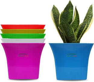 Nursery Hub (Pack of 6) Plant Container Set