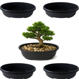 gurusamy Bonsai Pot for Indoor & Outdoor Plant Container Set