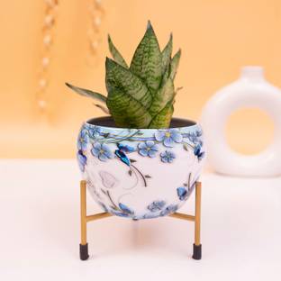 DECO CRAFTS Metal Printed Design Pot on Stand for Indoor & Outdoor Use Plant Container Set