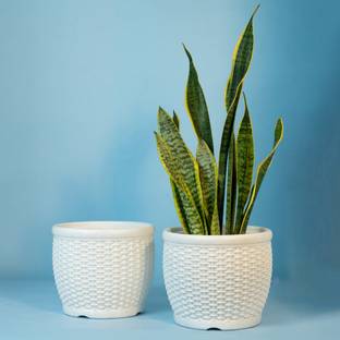 Mrida and Maati 8 Inch pot (WHITE,2 Pcs) Flower Pot for Home, Indoor & Outdoor Gamla, Gardening Plant Container Set