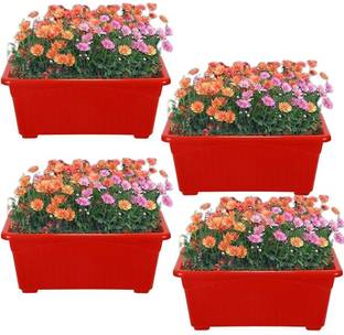 IMAGINEA Plastic Window Planters 14” Plant Pots for Home Plants | Floor Pots for Lawns Plant Container Set