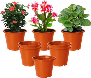 KUBER INDUSTRIES Durable Plastic Flower Pot|Gamla With Drain Holes ,6"x5",Pack of 8 (Orange) Plant Container Set