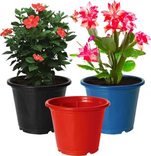 KUBER INDUSTRIES Plastic Planters|Gamla|Flower Pots ,8"x6",Pack of 3 (Black,Blue,Red) Plant Container Set