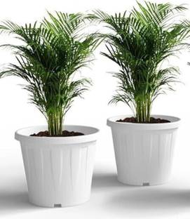 god of goods 8 INCH Planter Plastic for Plants Nursery Seedling Germination pots Plant Container Set