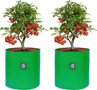 APR Enterprise Green Grow bag 18x18 inches for Terrace Gardening Plant Container Set
