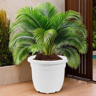 HOMESTIC by Kuber Industries 18 Inches Plastic Flower Pot with Removable Wheels | White Plant Container Set