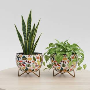 URBAN NEST CREATIONS Flora Fun Planter Pots|Indoor&Outdoor|Home,Balcony&Office Decor Plant Container Set